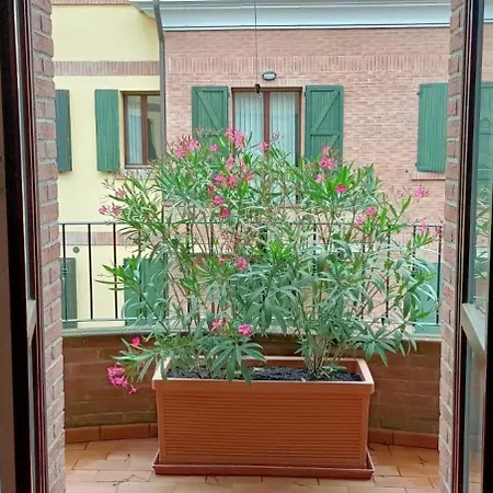 Oasi Di Comfort Apartment